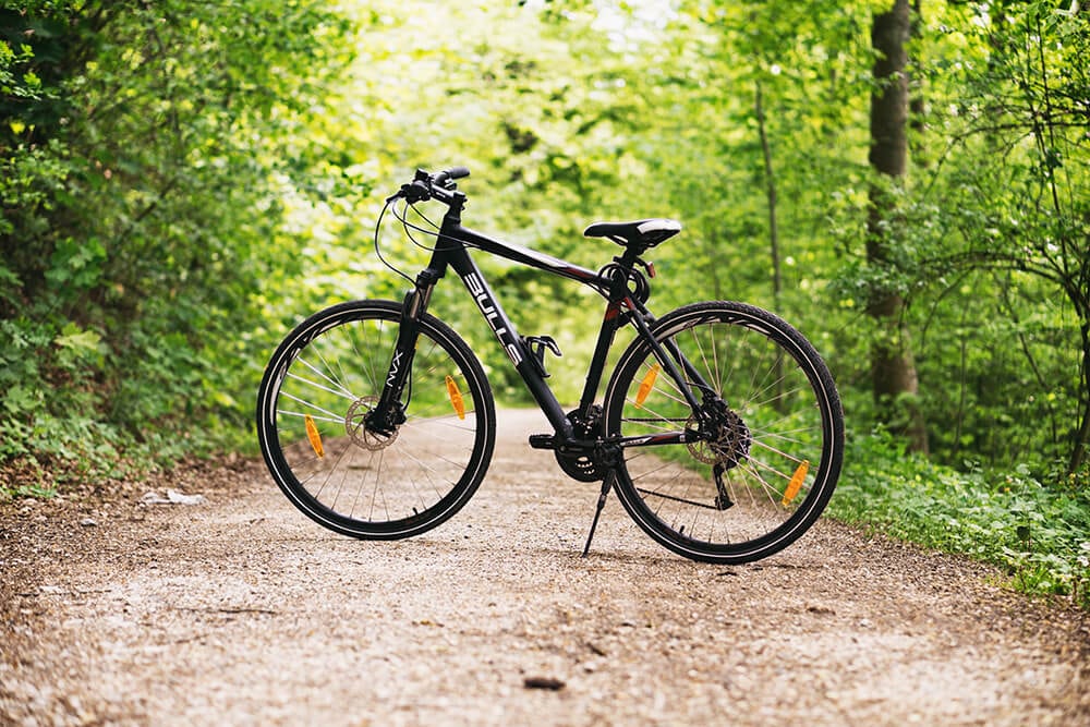 Bicycle on forest trail